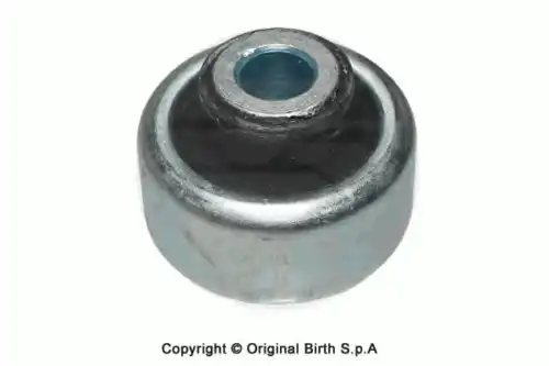 Рычаг подвески BIRTH 2283