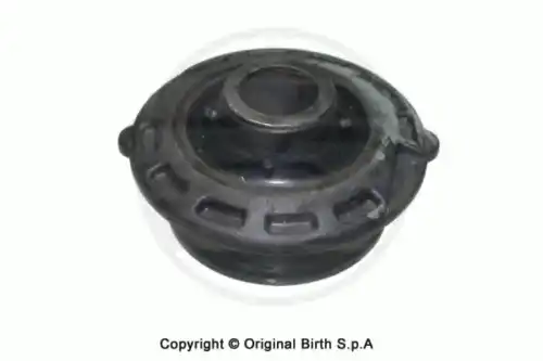 Рычаг подвески BIRTH 2495