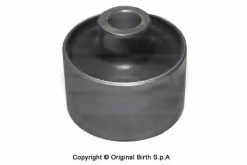 Рычаг подвески BIRTH 2492
