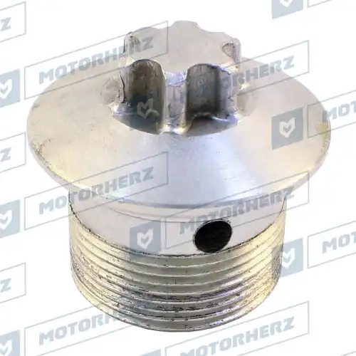 HLL00095 Болт рулевой рейки MOTORHERZ