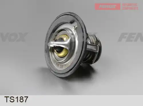 Термостат системы охлаждения FENOX TS187