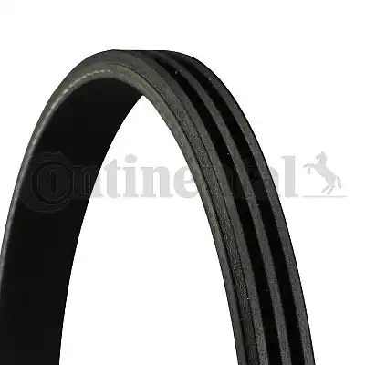 CONTINENTAL 3PK648
