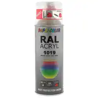 RAL-лак 453182 DUPLI-COLOR