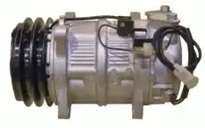 компрессор кондиционера Volv 81.14.16.008 LIZARTE