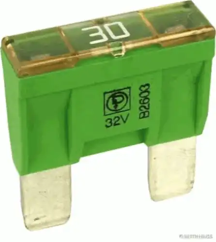 Предохранитель 50295543066 HERTH+BUSS