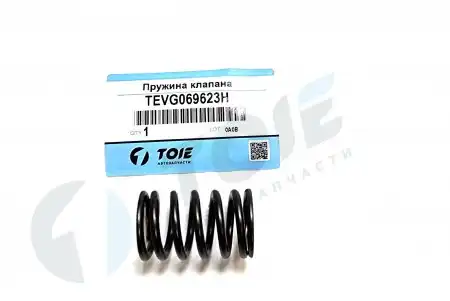 Пружина клапана TEVG069623H TOIE