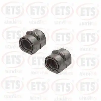 Рычаг подвески ETS 06.TK.111