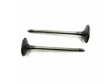 VALVE,INT 55568831 CADILLAC