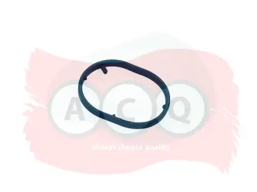 Прокладка коллектора ACQ AAW7500
