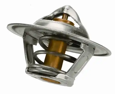 Термостат системы охлаждения BORG WARNER 300090