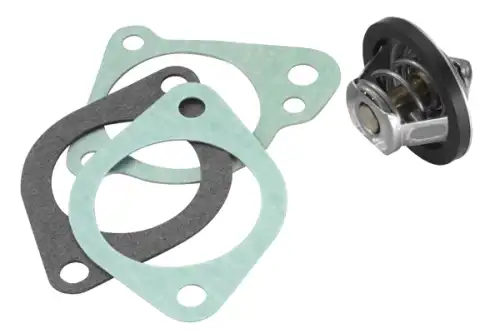 Термостат системы охлаждения BORG WARNER 302188D50