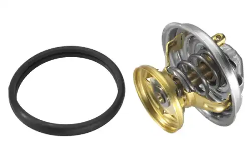 Термостат системы охлаждения BORG WARNER 417685D