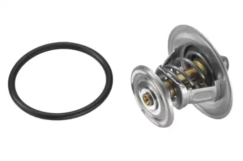 Термостат системы охлаждения BORG WARNER 426484D