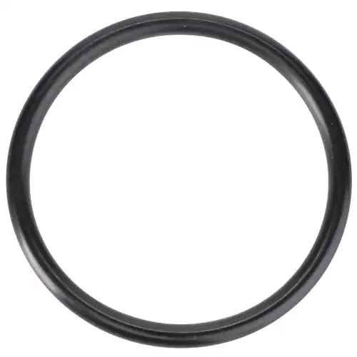 Кольцо 036-043-36 O-RING уплотнит. резин. (MT600C/D Челленжер) 3008359X1 AGCO