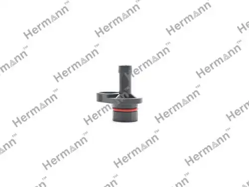 Клапан насоса (мал.) HR724807590KIT HERMANN
