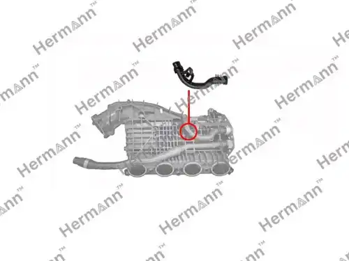 HR11618603914V3 Патрубок тип 3 HERMANN