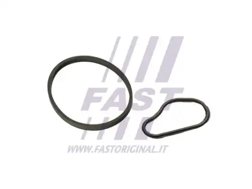 Прокладка, вакуумный насос FT48943 FAST