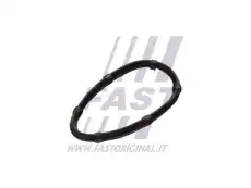 Прокладка коллектора FAST FT49457