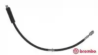 шланг тормозной перед. Audi T 85 113 BREMBO