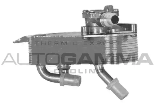 Масляный радиатор AUTOGAMMA 107013