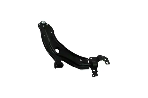 Рычаг подвески AUTOMEGA 250403810