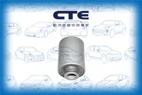 Рычаг подвески CTE CBH03031