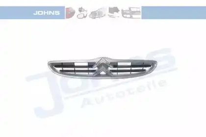 Решетка радиатора JOHNS 2306053