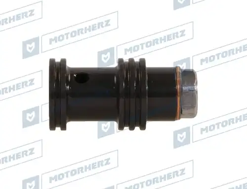 Клапан насоса ГУР HPP1009VP MOTORHERZ