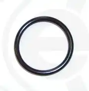 Уплотнительное кольцо 373.060 ELRING