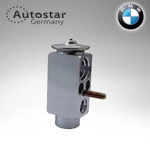 Деталь 64106906268 AUTOSTAR