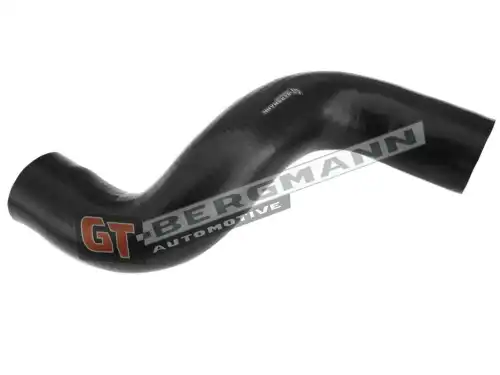 Деталь GT52295 GT-BERGMANN