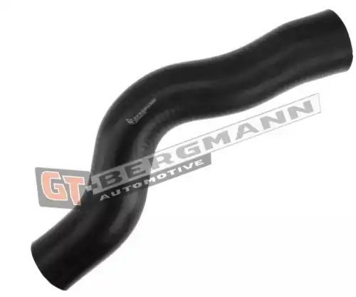 Деталь GT52307 GT-BERGMANN