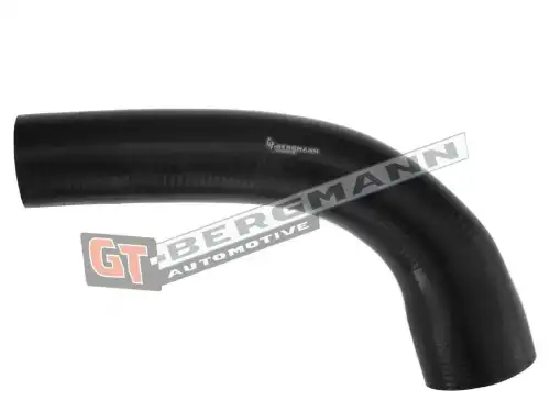 Деталь GT52311 GT-BERGMANN