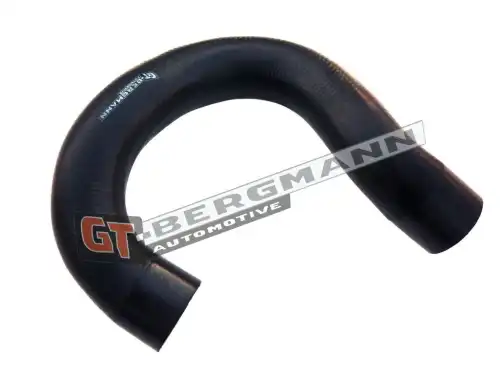 Деталь GT52138 GT-BERGMANN
