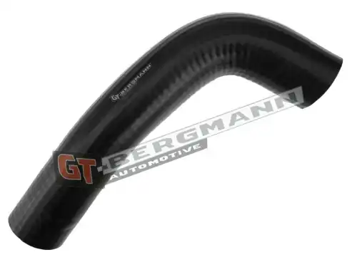 Деталь GT52291 GT-BERGMANN
