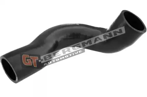 Деталь GT52314 GT-BERGMANN