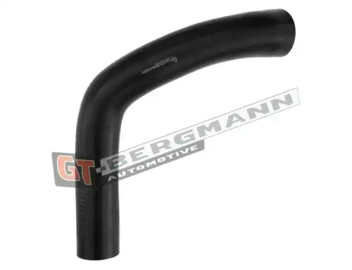 Деталь GT52294 GT-BERGMANN