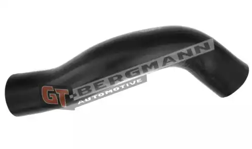 Деталь GT52303 GT-BERGMANN