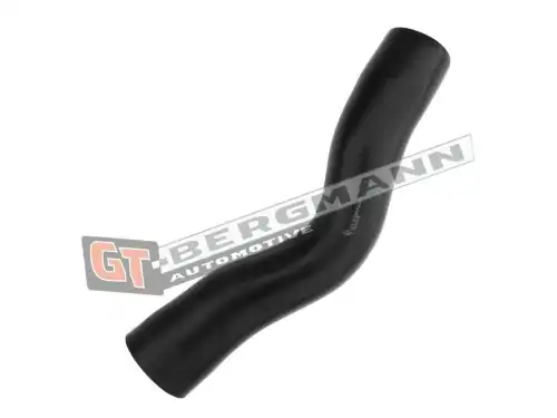 Деталь GT52358 GT-BERGMANN