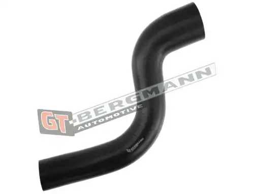 Деталь GT52297 GT-BERGMANN