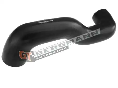 Деталь GT52310 GT-BERGMANN