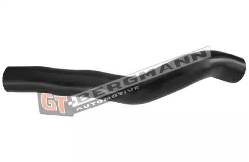 Деталь GT52313 GT-BERGMANN