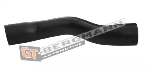 Деталь GT52377 GT-BERGMANN