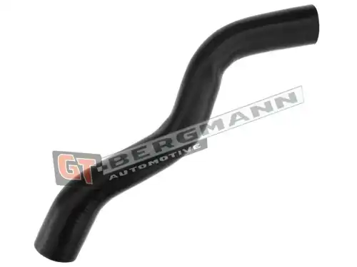 Деталь GT52301 GT-BERGMANN