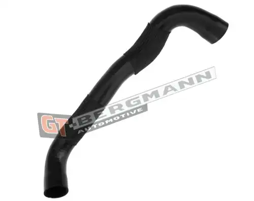 Деталь GT52272 GT-BERGMANN