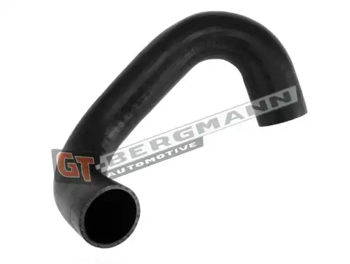 Деталь GT52350 GT-BERGMANN