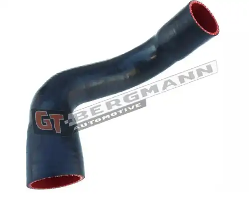 Деталь GT52279 GT-BERGMANN