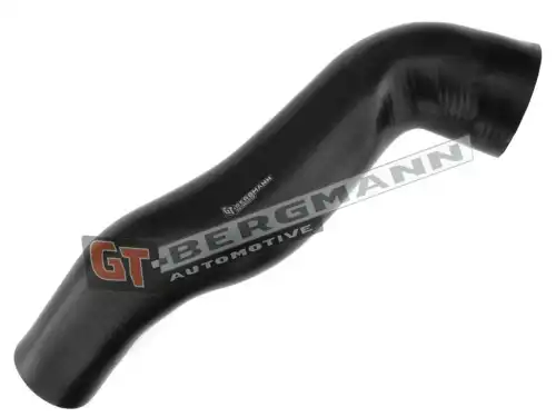 Деталь GT52319 GT-BERGMANN