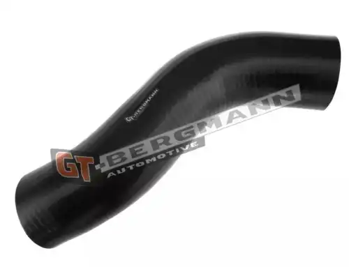 Деталь GT52302 GT-BERGMANN