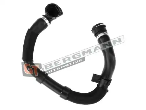 Деталь GT52352 GT-BERGMANN